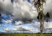 乐鱼官方网站-从贫民窟到世界之巅：印度神枪手的子弹如何击碎偏见，点燃十亿梦想