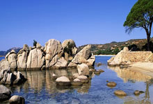 乐鱼体育-绿茵风暴！亚洲杯表演赛凯尔特人硬撼葡萄牙，致命点球判改写世纪对决