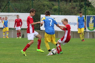 leyu乐鱼体育中国-鹿岛鹿角新援适应良好，世俱杯表现备受期待